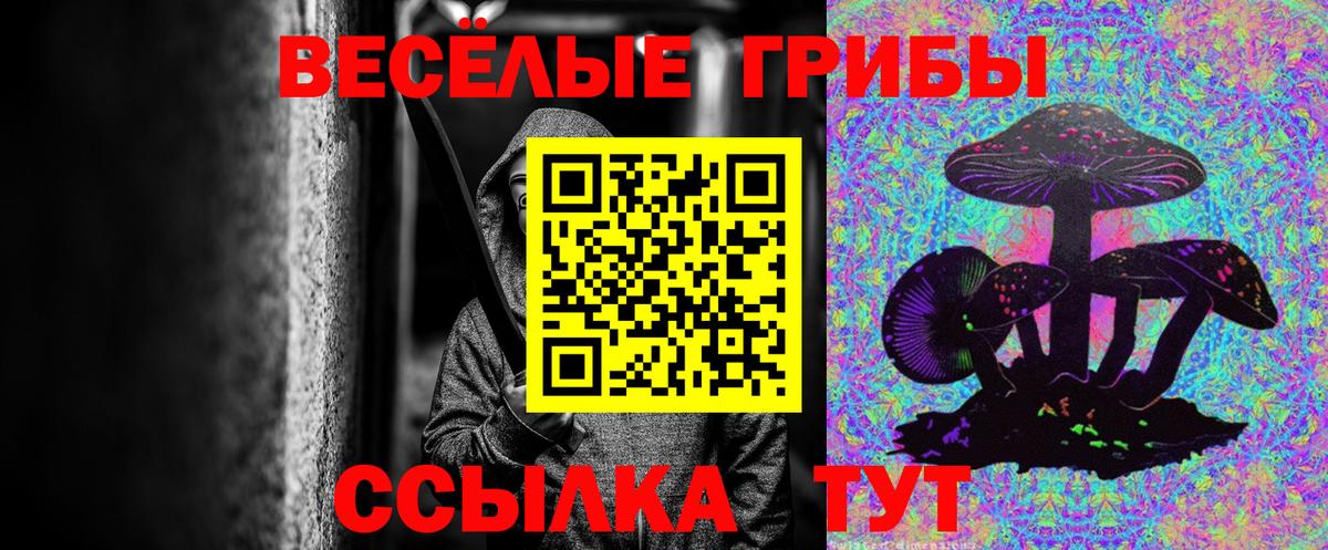 Муравленко  Псилоцибиновые грибы мицелий  Галлюциногенные грибы MAGIC MUSHROOMS  Вход с VPN 