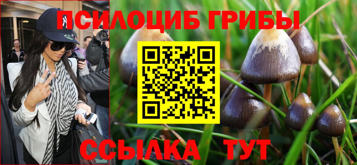 Псилоцибиновые грибы ЛСД Муравленко